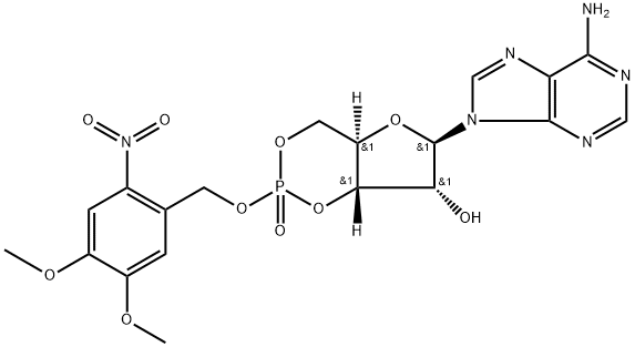 4,5-dimethoxy-2-nitrobenzyl cyclic AMP