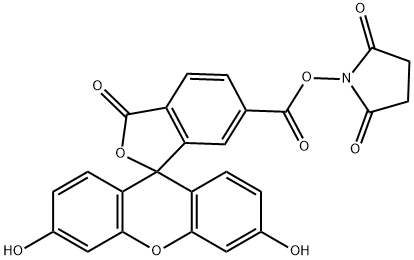 6-羧基荧光素琥珀酰亚胺醚