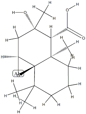 阿替毒素 A