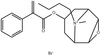 丁溴东莨菪碱杂质07(溴盐)