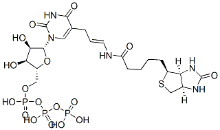 5-(N-biotinyl-3-aminoallyl)uridine 5'-triphosphate