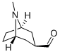 8-Azabicyclo[3.2.1]octane-3-carboxaldehyde, 8-methyl-, exo- (9CI)