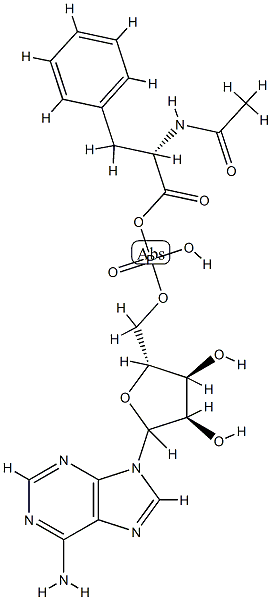 N-acetylphenylalanyl-adenosine monophosphate-anhydride
