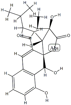 RISHIRILIDE A