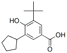 3-cyclopentyl-5-tert-butyl-4-hydroxybenzoic acid
