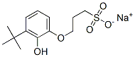sodium 3-[(1,1-dimethylethyl)-2-hydroxyphenoxy]propanesulphonate