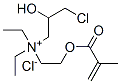 [3-chloro-2-hydroxypropyl]diethyl[2-[(2-methyl-1-oxoallyl)oxy]ethyl]ammonium chloride