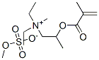 diethylmethyl[2-[(2-methyl-1-oxoallyl)oxy]propyl]ammonium methyl sulphate
