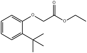 ethyl [2-(1,1-dimethylethyl)phenoxy]acetate
