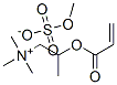 trimethyl-2-[(oxoallyl)oxy]propylammonium methyl sulphate