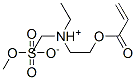 [2-(acryloyloxy)ethyl]diethylammonium methyl sulphate