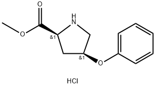 (2S,4S)-4-苯氧基-2-吡咯啉甲酸甲酯(HCL)