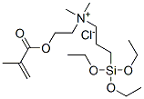 dimethyl[2-[(2-methyl-1-oxoallyl)oxy]ethyl][3-(triethoxysilyl)propyl]ammonium chloride