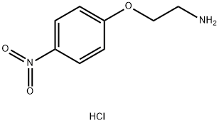 4-(2-氨基乙氧基)-1-硝基苯盐酸盐