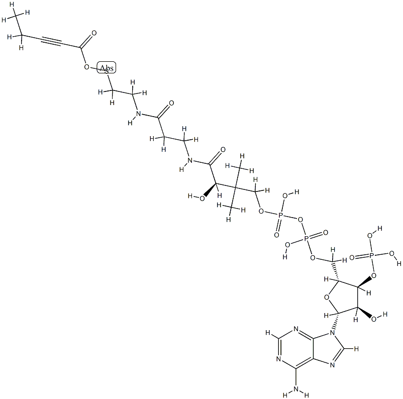 2-pentynoyl-coenzyme A