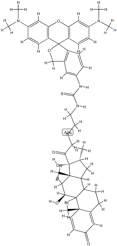 N-(dexamethasone 21-S-ethyl-2'-amino)tetramethylrhodamine
