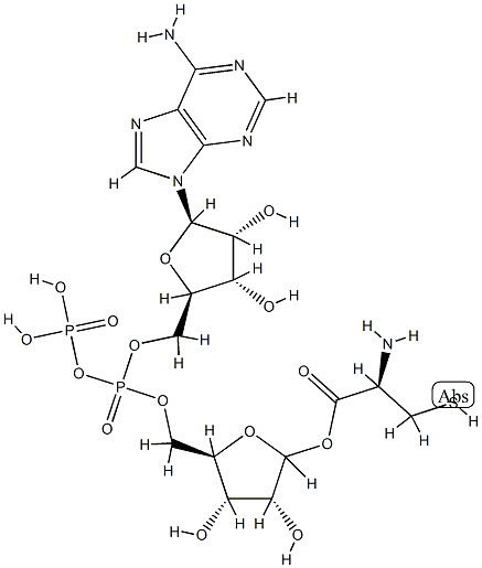 ADP-ribosylcysteine