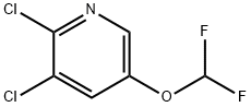 2,3-Dichloro-5-difluoromethoxypyridine