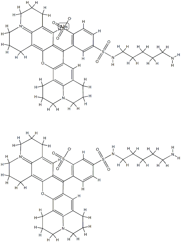 Sulforhodamine 101 cadaverine TFA salt