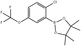 2-Chloro-5-(trifluoromethoxy)phenylboronic acid pinacol ester