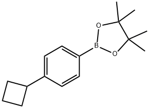 (4-Cyclobutylphenyl)boronic acid pinacol ester