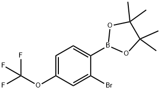 2-Bromo-4-(trifluoromethoxy)phenylboronic acid pinacol ester