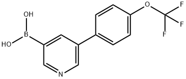 3-[4-(Trifluoromethoxy)phenyl]-pyridine-5-boronic acid
