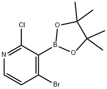4-Bromo-2-chloropyridine-3-boronic acid pinacol ester