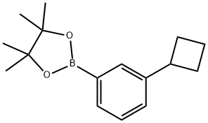 3-Cyclobutylphenylboronic acid pinacol ester