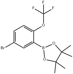 5-Bromo-2-trifluoromethoxyphenylboronic acid pinacol ester