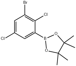 2-(3-溴-2,5-二氯苯基)-4,4,5,5-四甲基-1,3,2-二氧杂硼杂环戊烷