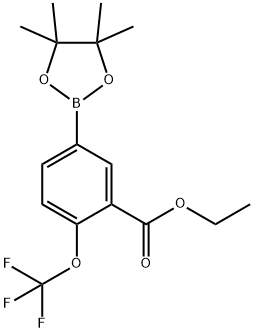 5-(4,4,5,5-四甲基-1,3,2-二氧硼烷-2-基)-2-(三氟甲氧基)苯甲酸乙酯