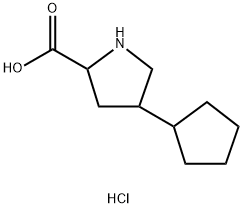 4-cyclopentylpyrrolidine-2-carboxylic acid hydrochloride
