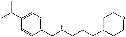 N-(4-异丙基苄基)-3-吗啉丙烷-1-胺