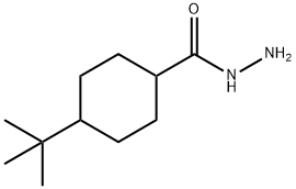 4-叔丁基-1-环己烷卡巴肼