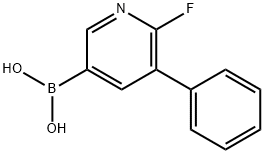 2-氟-3-苯基吡啶-5-硼酸