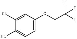 2-CHLORO-4-(2,2,2-TRIFLUOROETHOXY)PHENOL