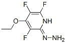 2(1H)-Pyridinone,4-ethoxy-3,5,6-trifluoro-,hydrazone(9CI)