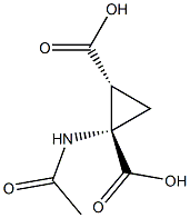 1,2-Cyclopropanedicarboxylicacid,1-(acetylamino)-,(1R,2S)-rel-(9CI)