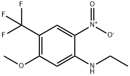 5-methoxy-N1-methyl-4-(trifluoromethyl)benzene-1,2-diamine