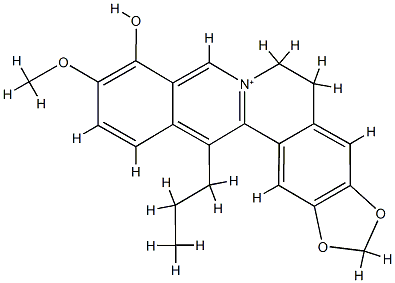 13-propylberberine