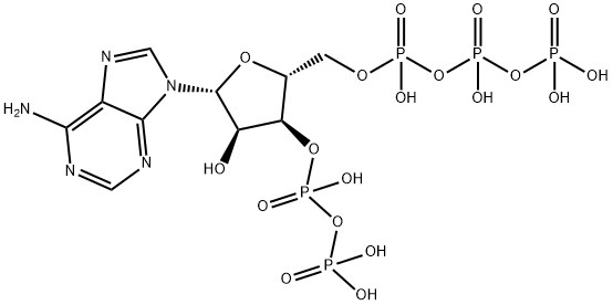adenosine 5'-triphosphate 3'-diphosphate