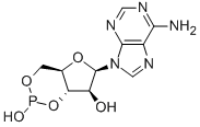 9-(3,5-O-PHOSPHINYLIDENE-D-ARABINOFURANOSYL)-9H-PURIN-6-AMINE