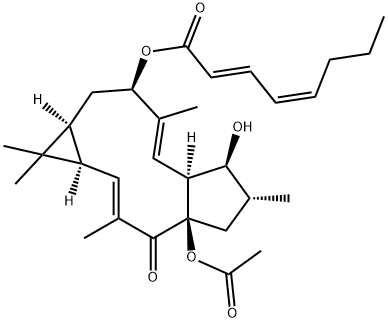 EUPHOHELIOSCOPIN A