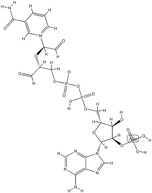 2',3'-dialdehyde NADP