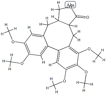 neoisostegane