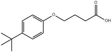 4-(4-TERT-BUTYL-PHENOXY)-BUTYRIC ACID