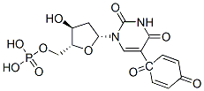 5-(4-benzoquinonyl)-2'-deoxyuridine 5'-phosphate