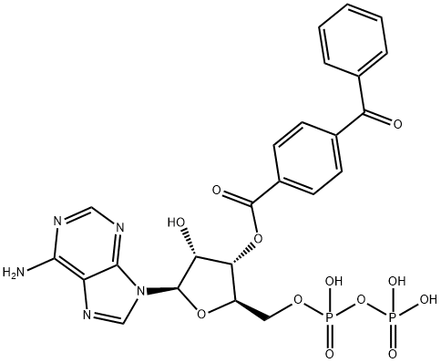3'-O-(4-benzoyl)benzoyladenosine diphosphate