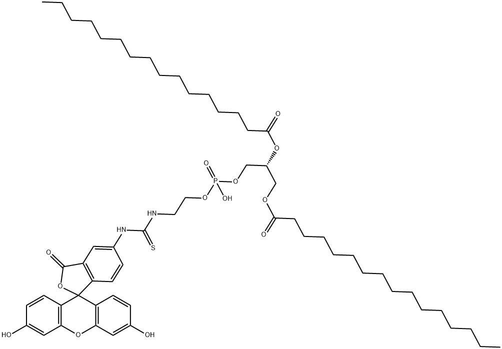 Fluorescein-DipalMitoylphosphatidylethanolaMine